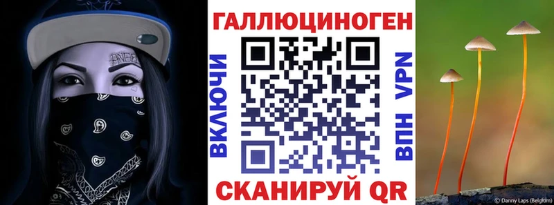 Галлюциногенные грибы мицелий  Мурино 